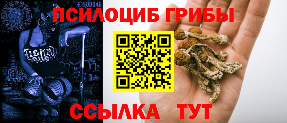 Псилоцибиновые грибы ЛСД  Вход с VPN  Орехово-Зуево 